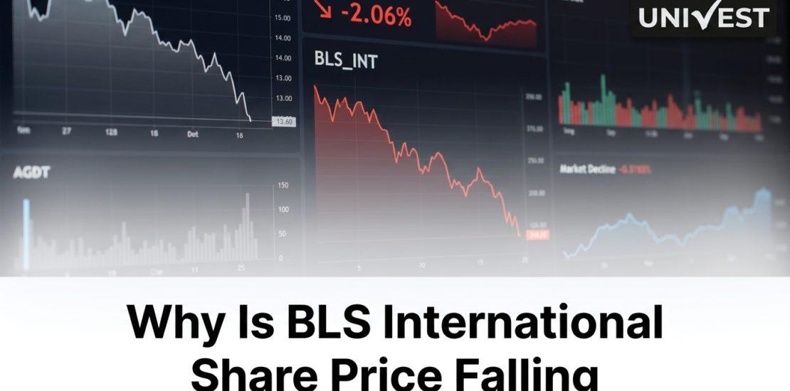 Why Is BLS International Share Price Falling