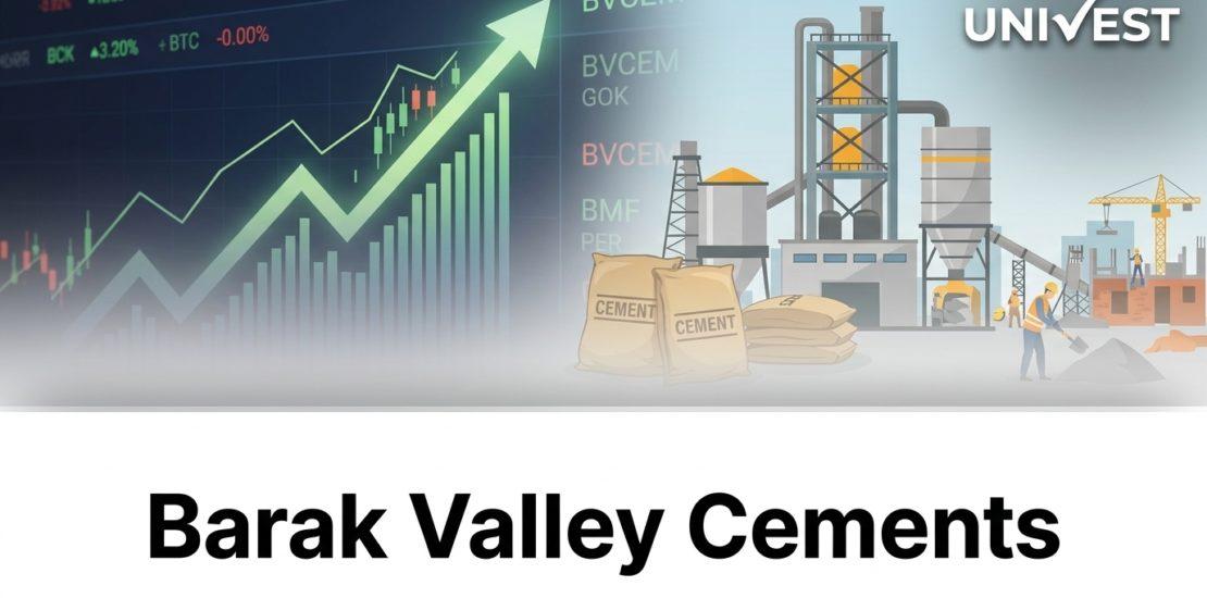 Why Is Barak Valley Cements Share Price Falling