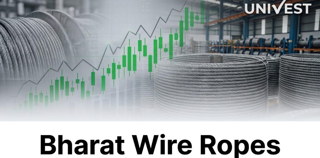 Why Is Bharat Wire Ropes Share Price Falling