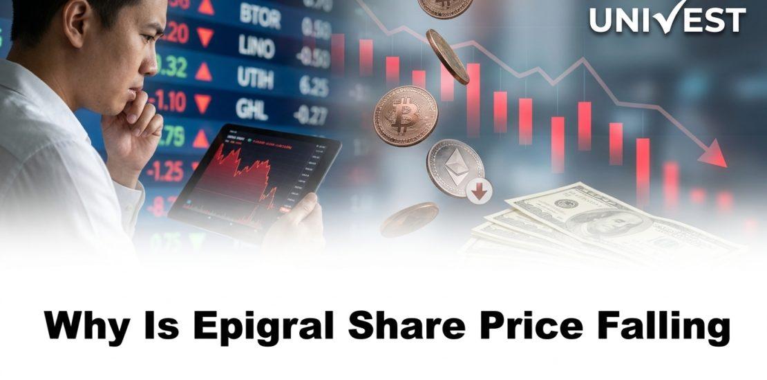 Why Is Epigral Share Price Falling