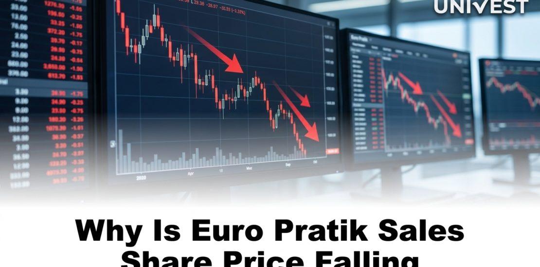 Why Is Euro Pratik Sales Share Price Falling