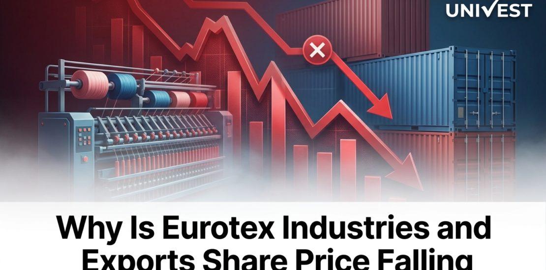 Why Is Eurotex Industries and Exports Share Price Falling