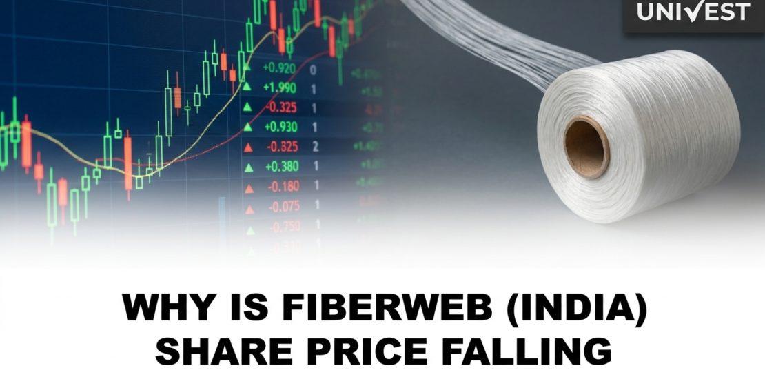 Why Is Fiberweb (India) Share Price Falling