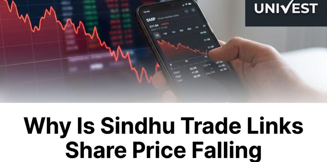 Why Is Sindhu Trade Links Share Price Falling