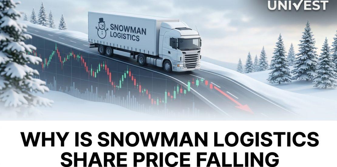 Why Is Snowman Logistics Share Price Falling