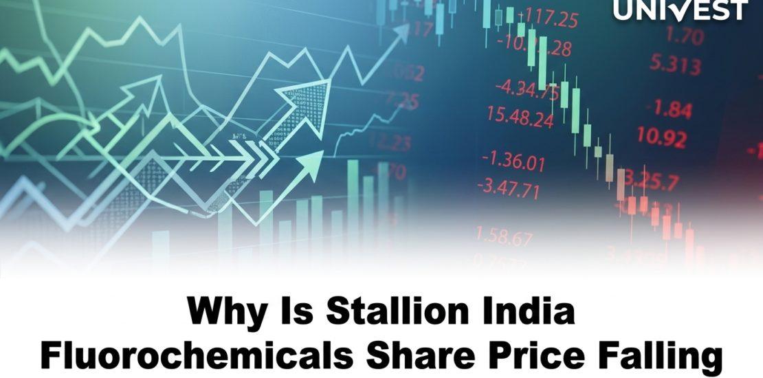 Why Is Stallion India Fluorochemicals Share Price Falling