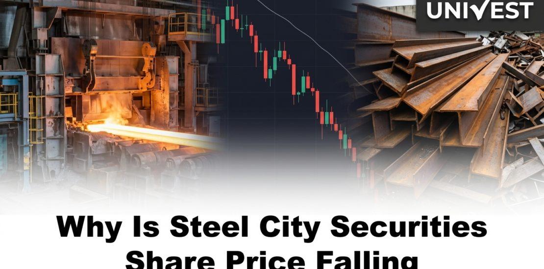 Why Is Steel City Securities Share Price Falling