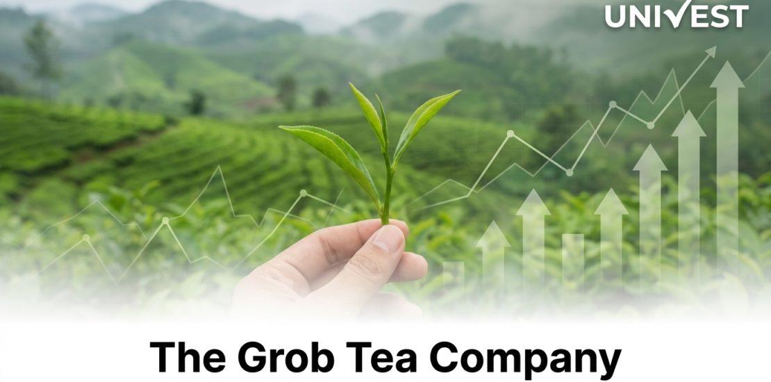 Why Is The Grob Tea Company Share Price Falling