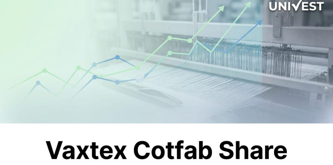 Why Is Vaxtex Cotfab Share Price Falling