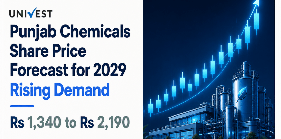 Where Will Punjab Chemicals & Crop Protection Share Price Be in the Next 3 Years?