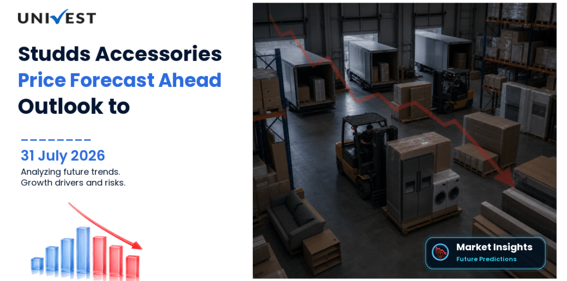 Studds Accessories Share Price Forecast to 2030