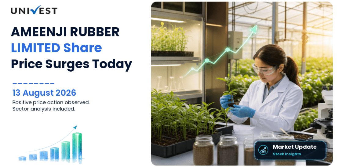AMEENJI RUBBER LIMITED Share Price