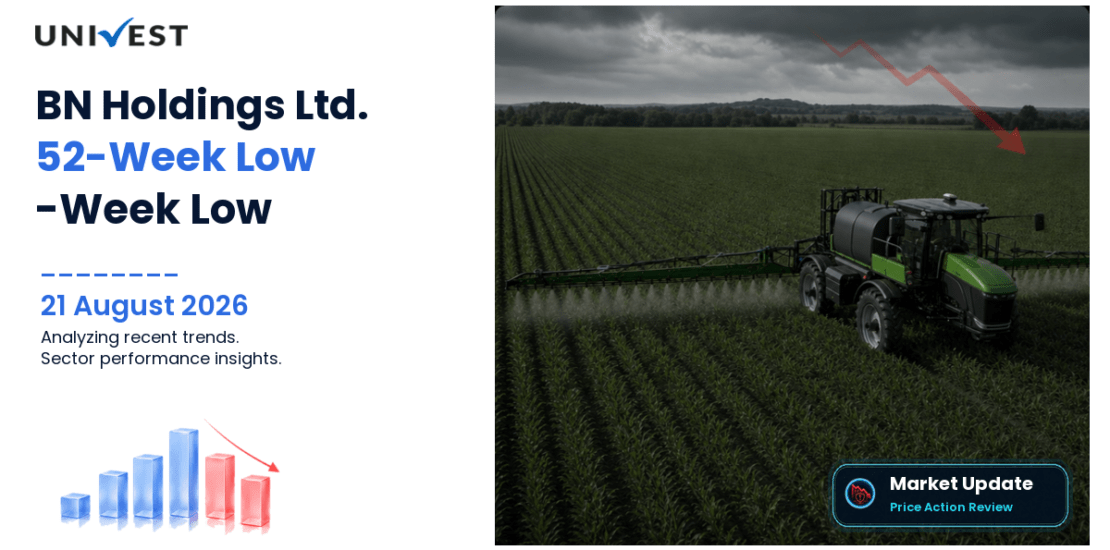 BN Holdings Ltd. Share Price