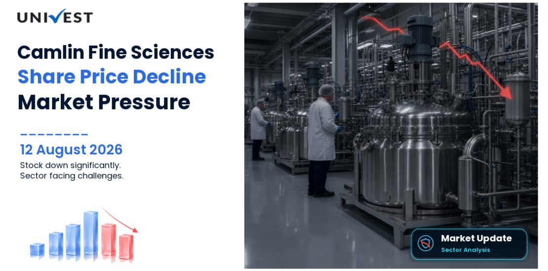 Camlin Fine Sciences Share Price