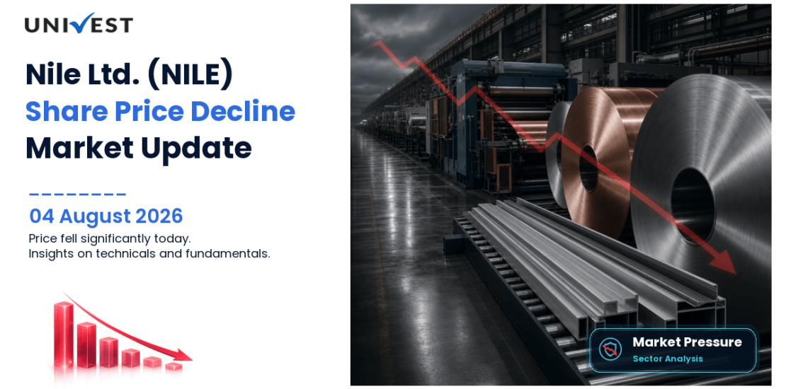 Nile Ltd. Share Price
