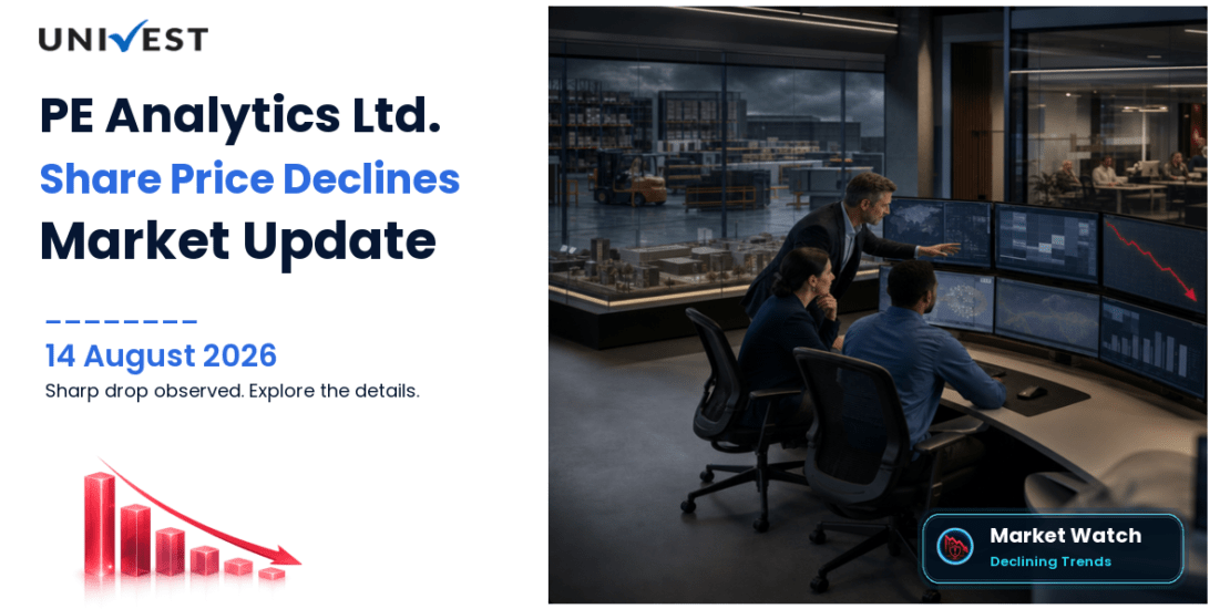 PE Analytics Ltd. Share Price
