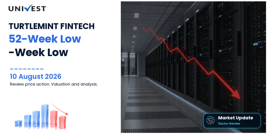 TURTLEMINT FINTECH SOLS L Share Price