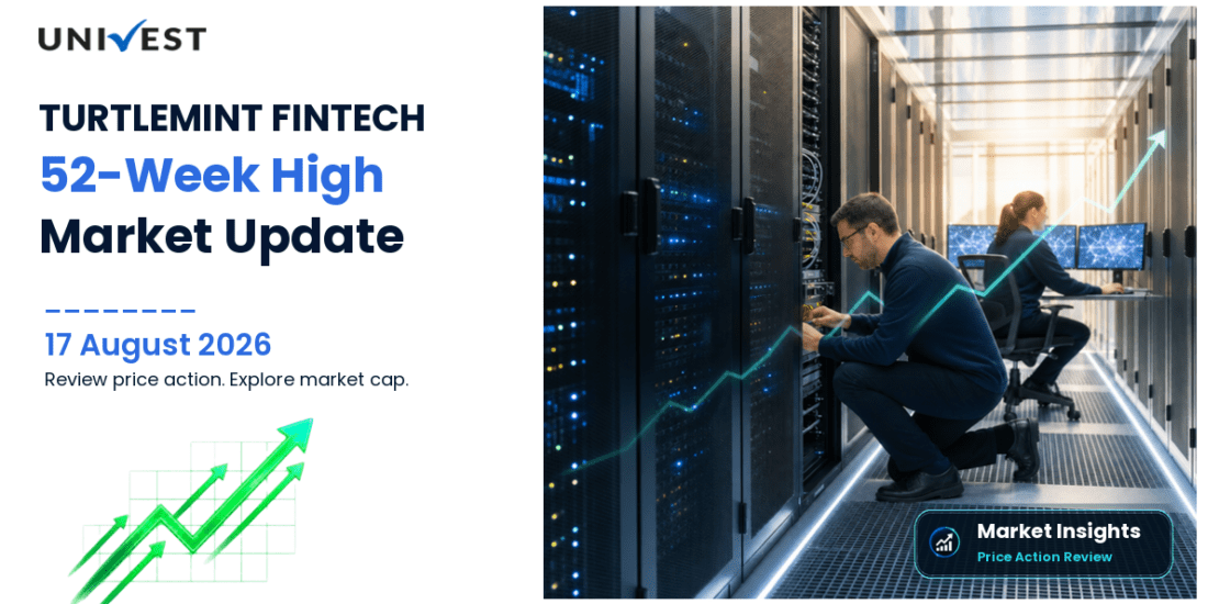 TURTLEMINT FINTECH SOLS L Share Price