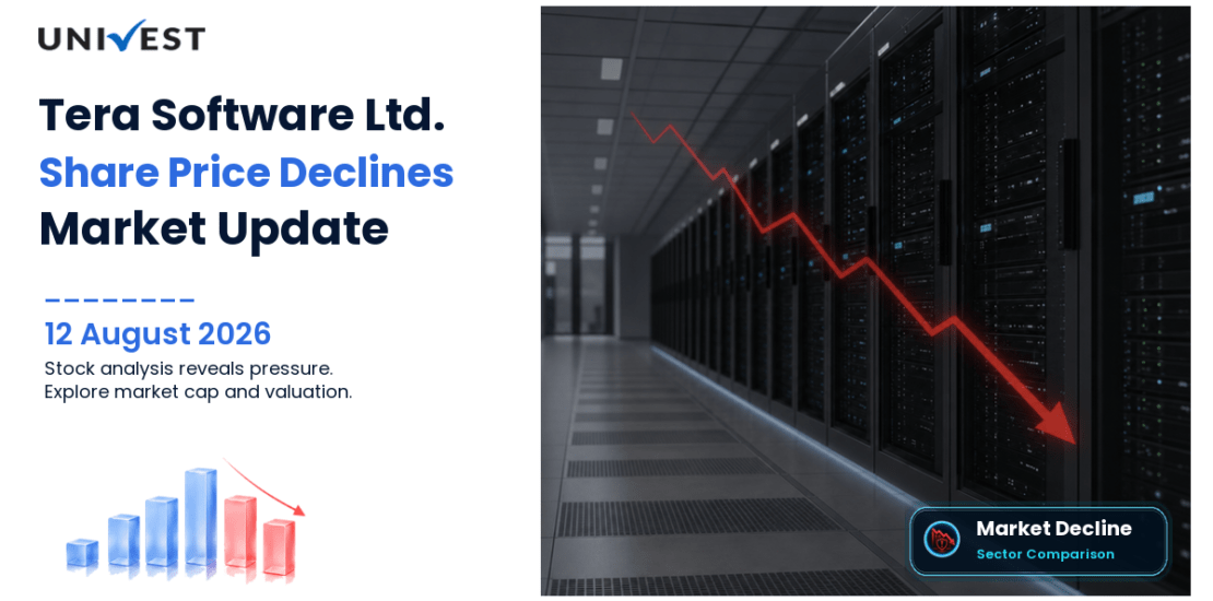 Tera Software Ltd. Share Price