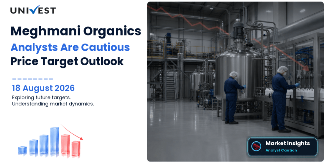 Meghmani Organics Share Price Target 2027, 2028 and 2030: Why Analysts Are Cautious