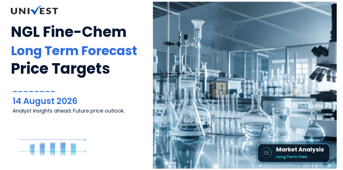 NGL Fine-Chem Share Price Target 2027, 2028 and 2030: Long Term Analyst Forecast