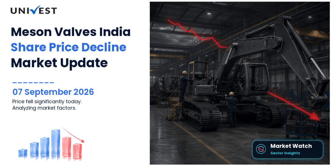 Meson Valves India Share Price