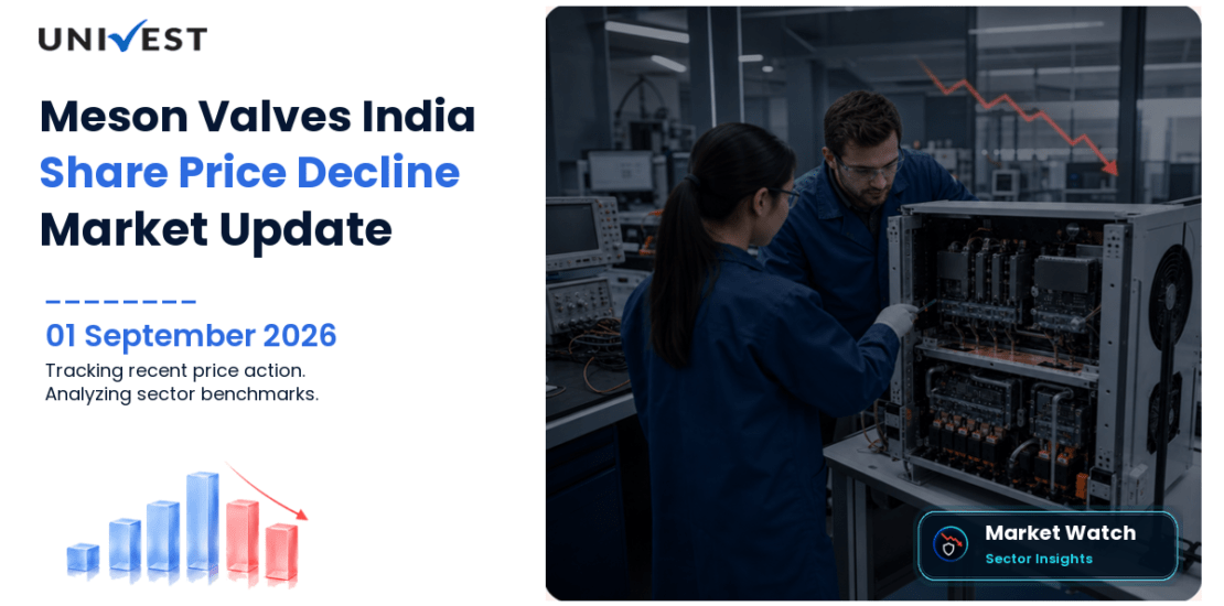 Meson Valves India Share Price