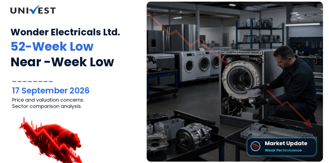 Wonder Electricals Share Price