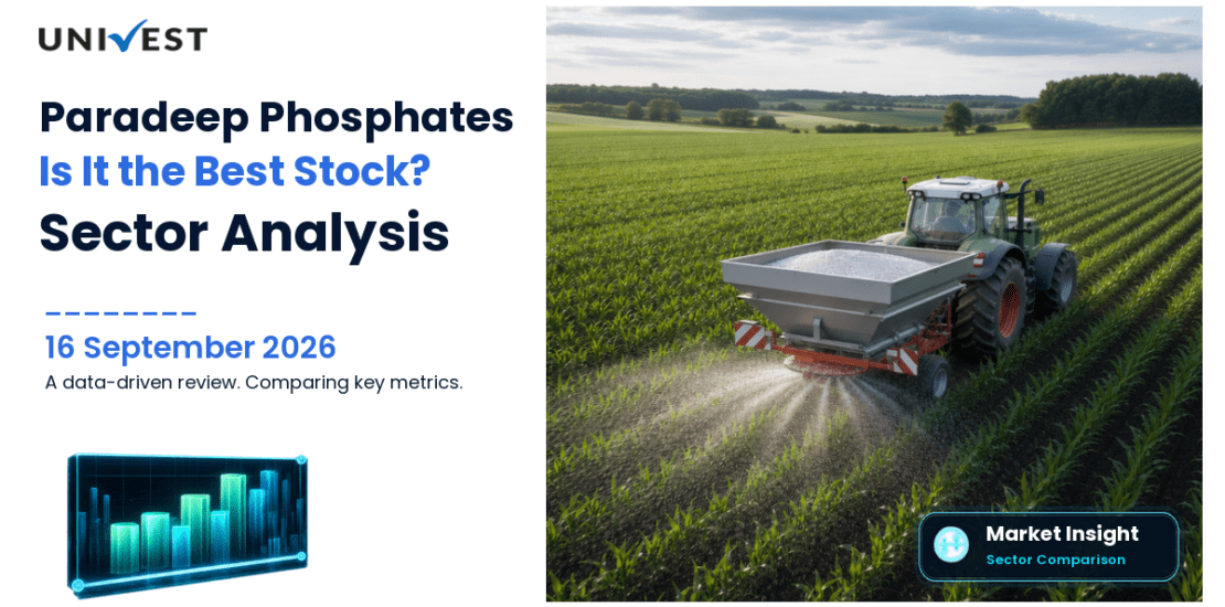Is Paradeep Phosphates the Best Stock in Its Sector? A Look at the Numbers