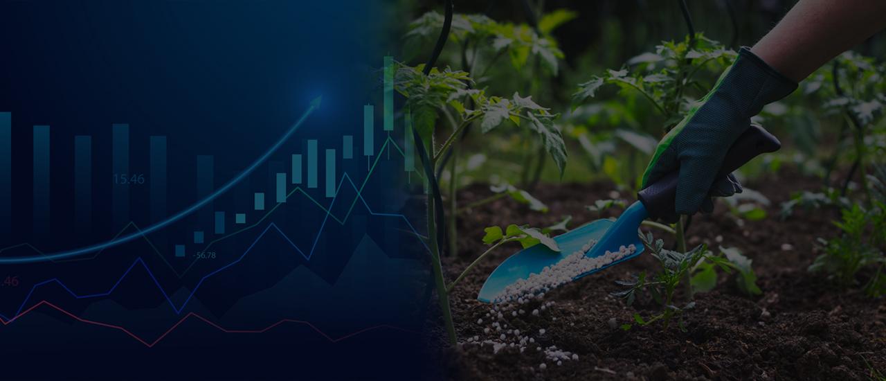 Fertilizer stocks deliver outsize gains for investors this year